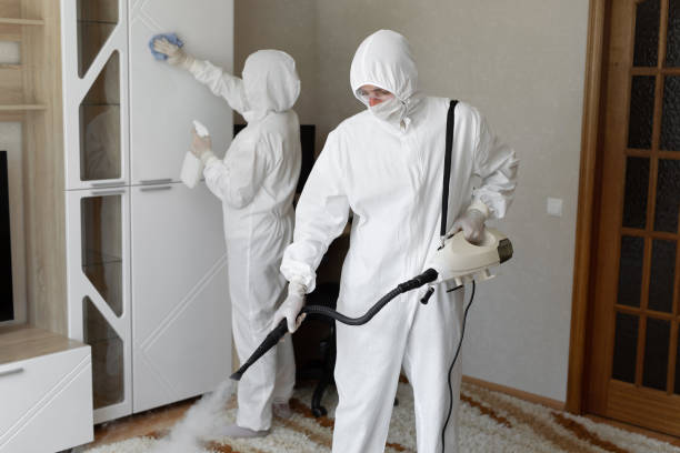 Best Emergency Mold Remediation in Fitchburg, WI